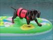 roobyrafting.jpg - 2659 Bytes