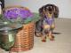 PrettyGirlMissy.jpg - 2042 Bytes