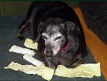 Stinkerchew.jpg - 3019 Bytes