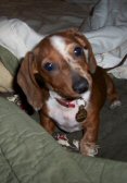 freckles1.jpg - 6501 Bytes